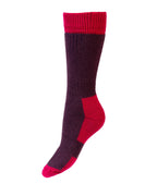 Lady Glen Socks ~ Thistle